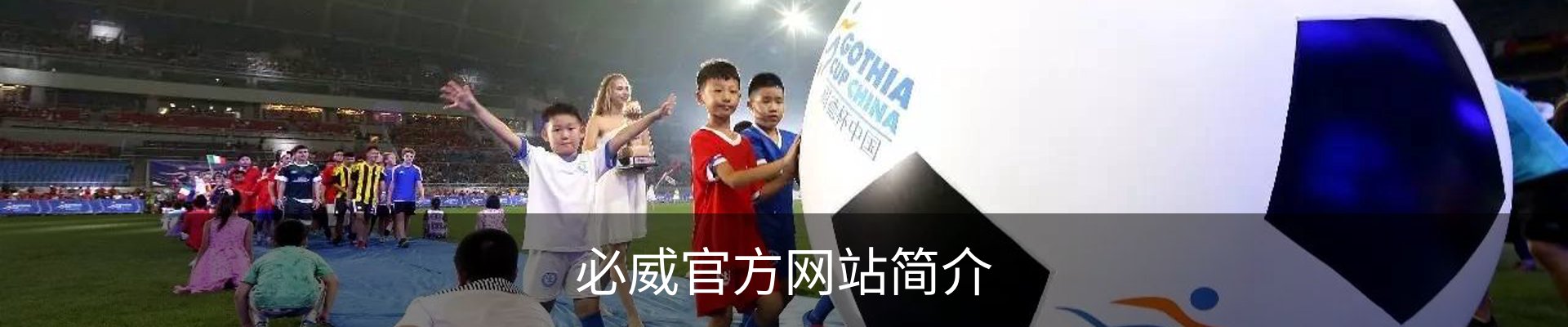 必威官方网站简介
