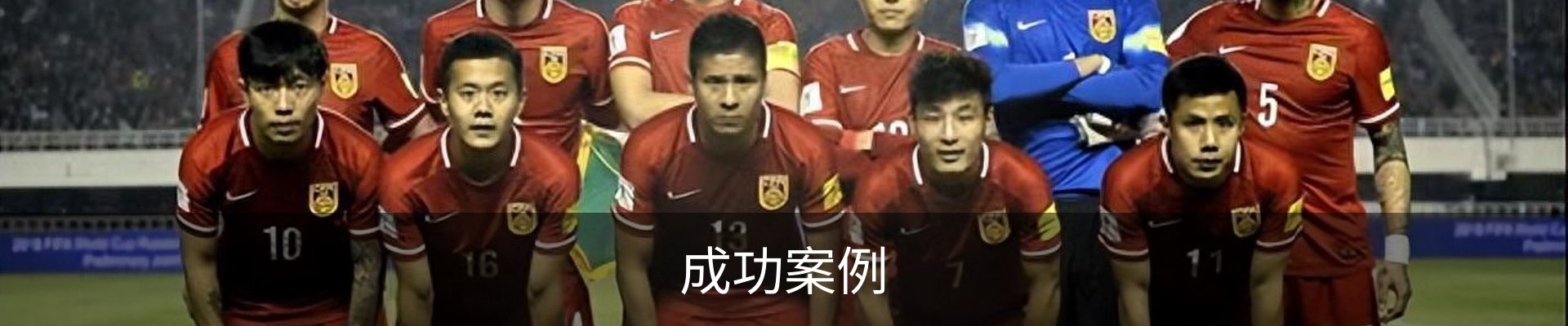 成功案例